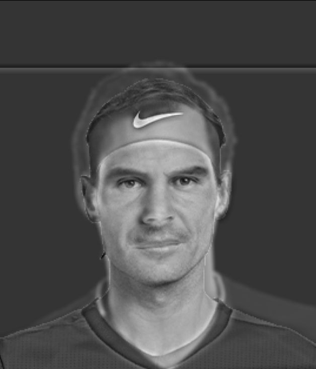 Hybrid image of Federer and Nadal