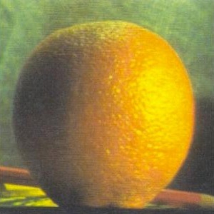 Picture of Orange