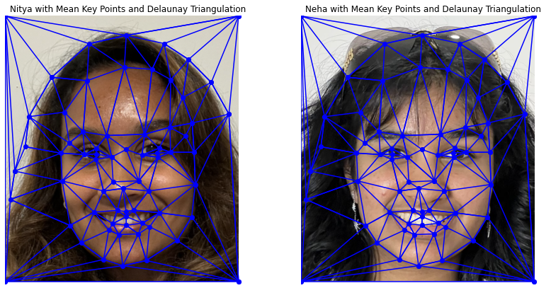 Picture of Mean Key Points and Delaunay Triangulation