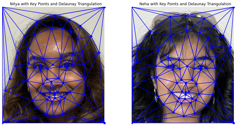 Picture of Key Points and Delaunay Triangulation