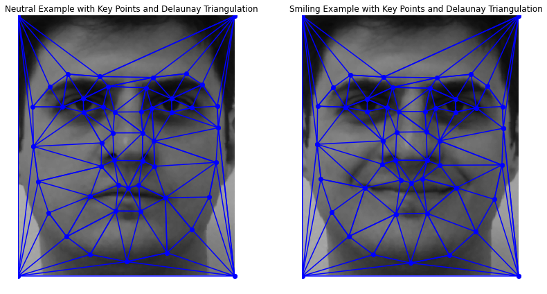 Facial Key Points for Average Shape and Delaunay Triangulation