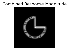 Combined Response Magnitude of Pacman