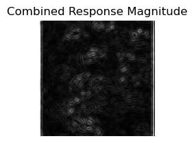 Combined Response Magnitude of Texture 1