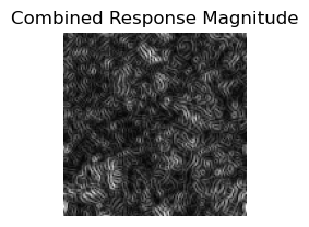 Combined Response Magnitude of Texture 2