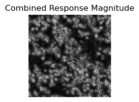 Combined Response Magnitude of Texture 4